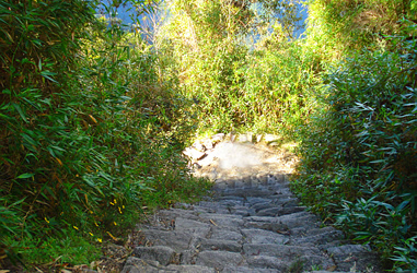 Camino a la fortaleza inca