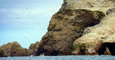 Blick auf Isla Ballestas