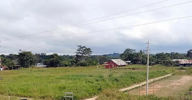 Grünes Puerto Maldonado