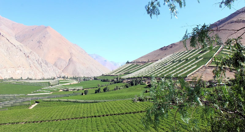 Touren - Führungen - Ausflüge in Pisco