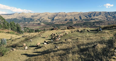 Valle Sagrado