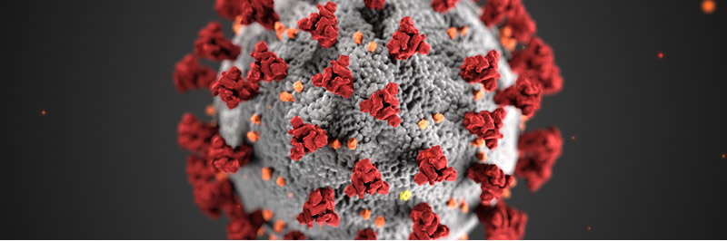 Coranavirus Peru