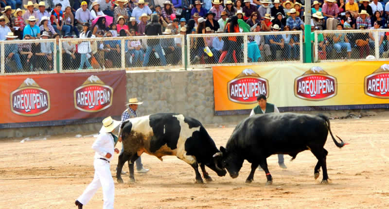 Un espectáculo campesino con siglos de historia