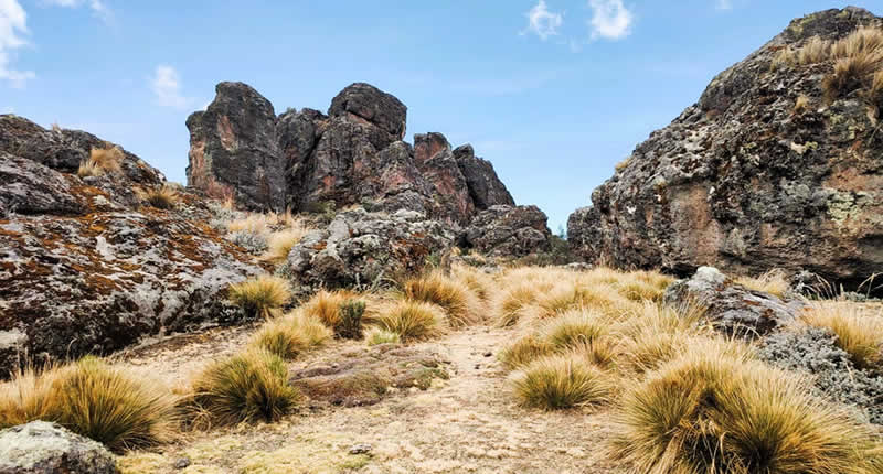 Bosque de Piedra de Runasayacc im Distrikt Iguain (Provinz Huanta, Region Ayacucho) 