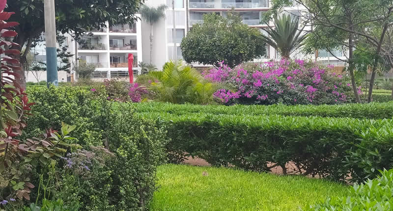 El Parque Húsares de Junín se ubica en el Malecón Paul Harris