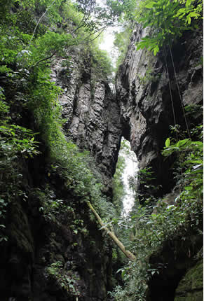 Arco Punco