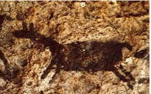 Pinturas rupestres de Chaqatira