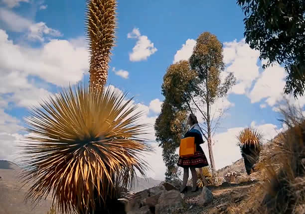 4 Meter hohe Puya