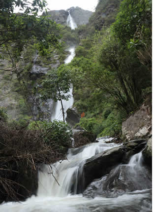 Cascada andina entre región quechua y bosque tropical