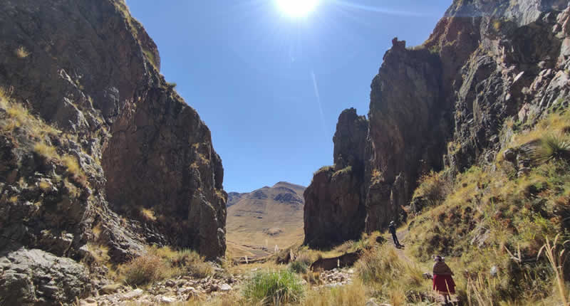 Bosque de piedras a más de 4.000 metros de altura