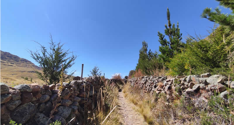 Formación Pétrea de Qilca en el bosque de piedras de Soratira, cerca de San Antón
