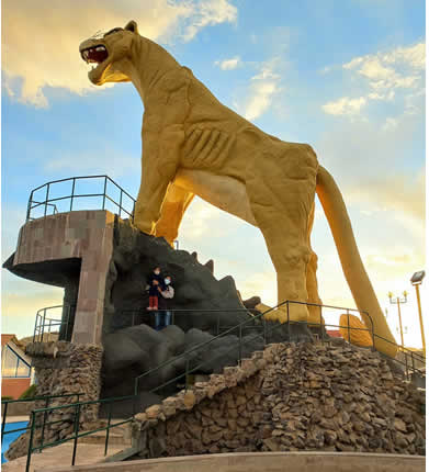 Mirador Puma Uta