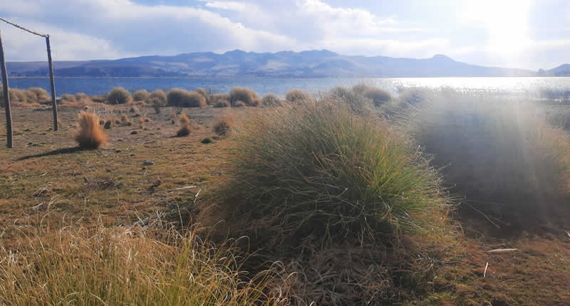 Playa Wichinka del Wiñaymarka en la ribera sur del lago Titicaca