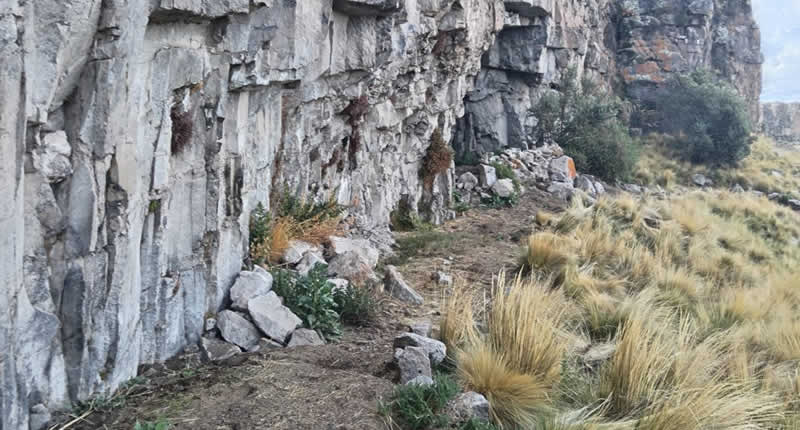 Qawrani Tiyi en Ayrumas Carumas