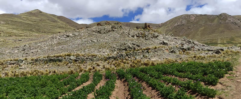 Colina con torres funerarias preincaicas en Santa María