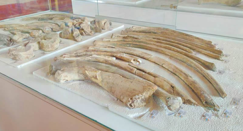Exhibición en la escuela de Choccocconiri