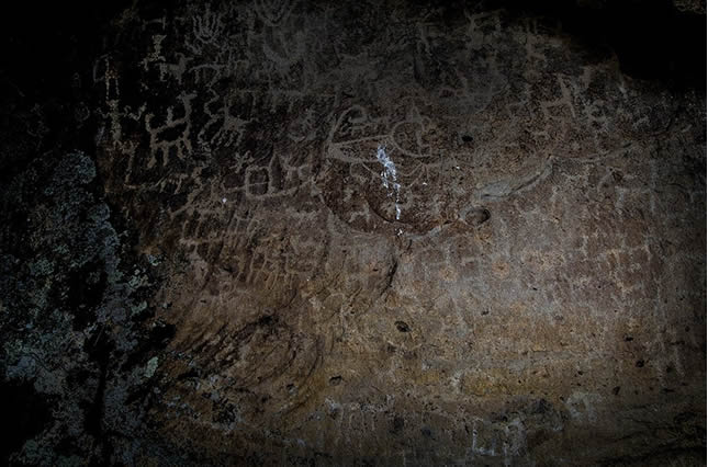 Arte rupestre de Ichucollo con figuras de camélidos y símbolos